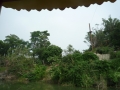 P1100686