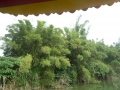 P1100687
