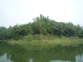 P1100696