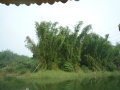 P1100691